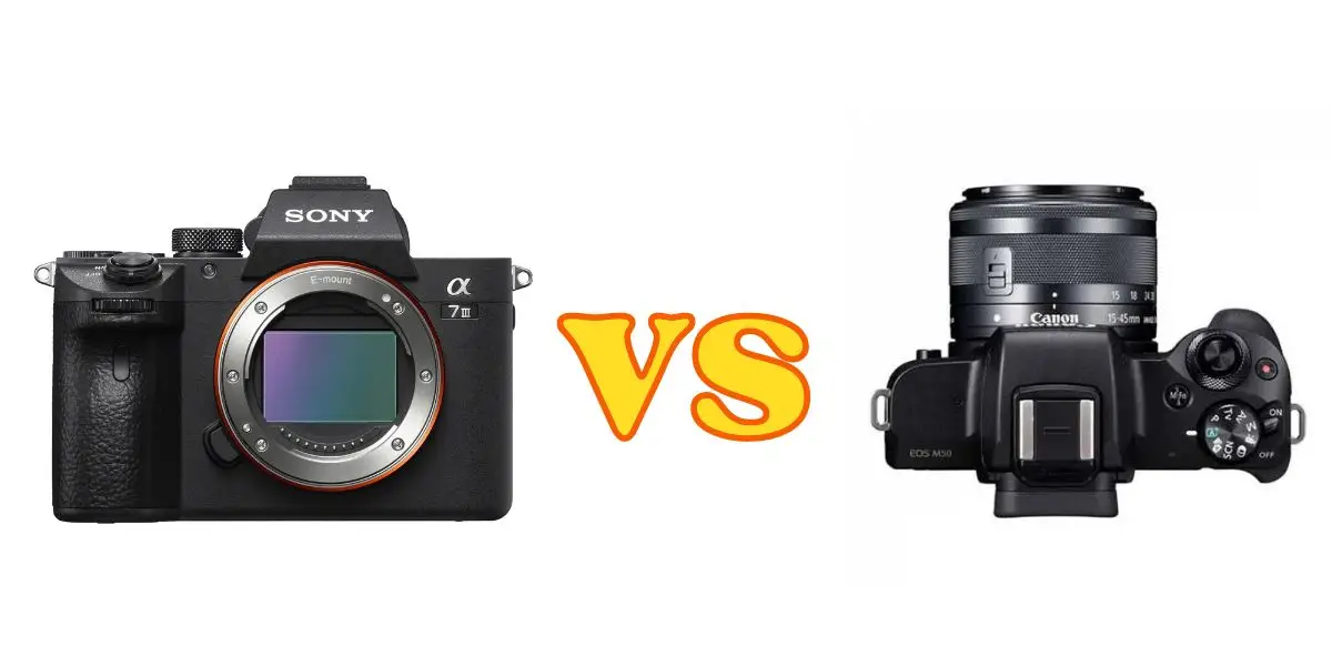 Why the Sony A7III is Better Than the Canon EOS M50 Mark II