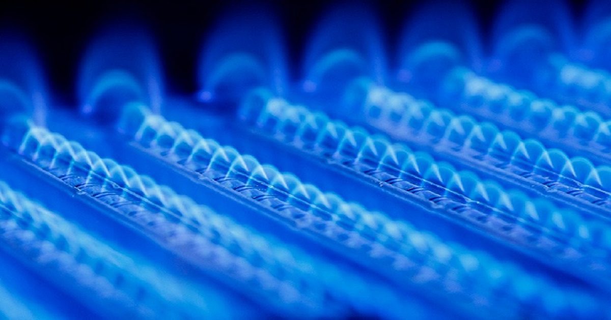 gas and electrical certificates